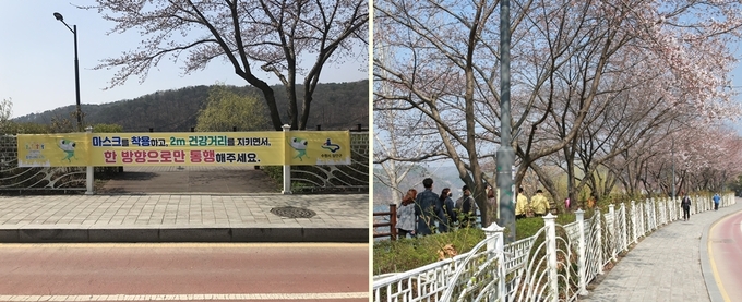 수원의 벚꽃 명소를 불리는 장안구 광교마루길도 상춘객의 방문 자제를 요청하고 있다.