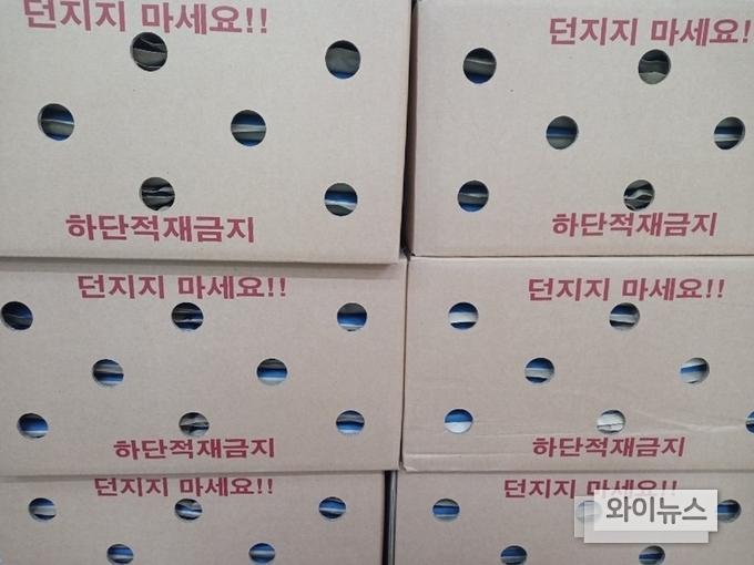 친환경 생분해 물질로 제작된 종이아이스팩. 백고경 대표는 베이킹뿐 아니라 부수 재료에서도 비건 라이프를 실천하려 노력한다. 사진은 카페라이크 한편에 있는 종이 아이스팩 모습.