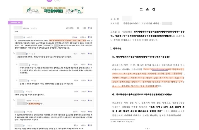 "상대 측 선거캠프 소속된 변호사를 향한 게시물 댓글" 캡처본(왼쪽-제보자 제공)과 해당 여성 변호사 SNS에 공개된 고소장 내용이다. 