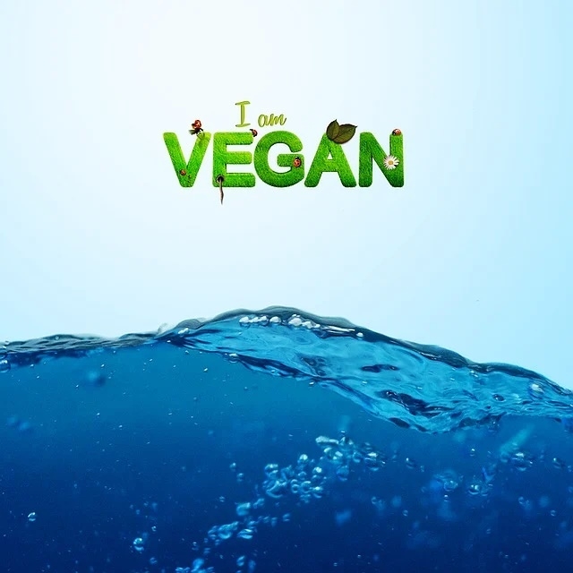 매년 11월 1일은 세계 비건의 날(World Vegan Day)이다. 이미지: 픽사베이 