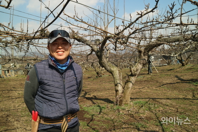 홍영익 농장주. 경기도 안성시 보개면 홍익농장에서 28년 동안 배농사에 임했다. 그의 부친은 그가 태어나던 해에 자신의 농장에 배나무를 심었다. 3월 21일 홍익농장에서는 유인작업을 진행했다. 