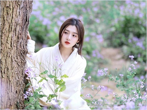 해어화(解語花)는 말하는 꽃 내지 말을 이해하는 꽃으로 해석되며 중국 당 현종과 양귀비 일화에서 유래됐다고 전한다. 이미지: 픽사베이 