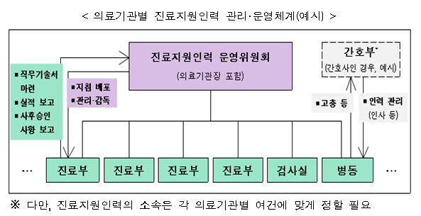 진료지원인력 관리·운영체계(안)