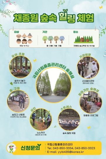 숲속 힐링 체험, 산림교육 프로그램 운영