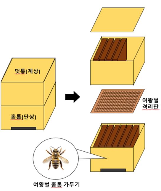 여왕벌방 육성군 구성도