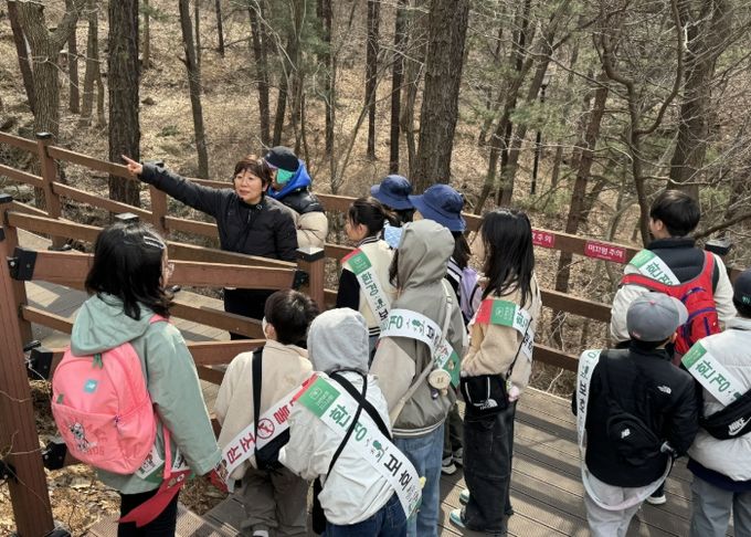 리틀포레스트 활동
