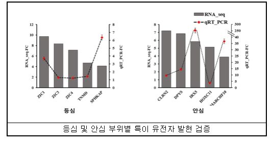 한우 고기 부위별 전사체 분석 결과