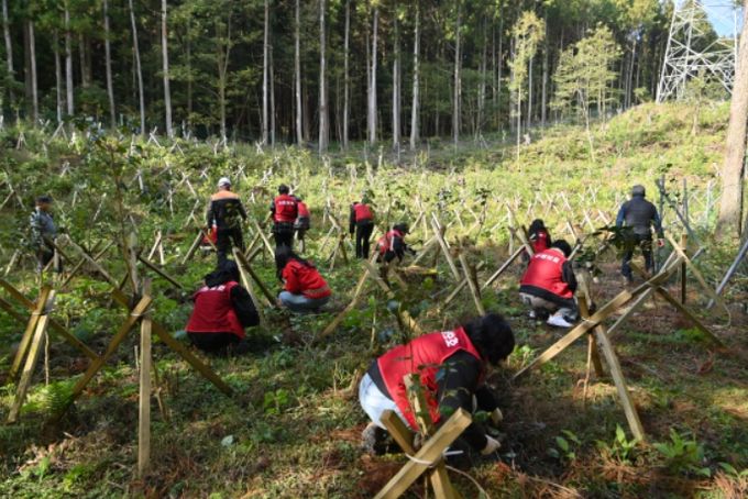 2025년 숲가꾸기 기간 체험 및 사랑의 땔감 나누기 행사