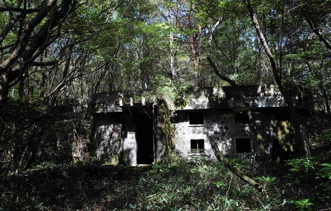 2025년 국가산림문화자산으로 신규 지정된 한라산 남성대 대피소