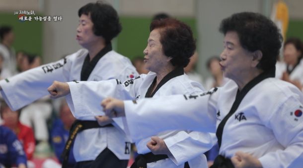 국기원에서 재편집한 YTN 다큐멘터리 영상 장면.