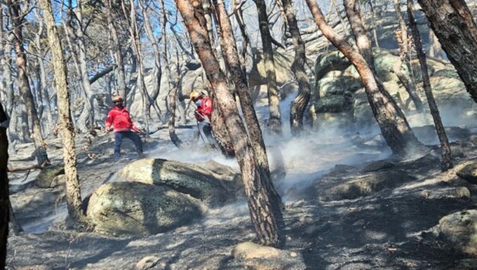 구미 산불 신속 진화