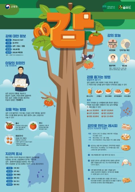 2월 이달의 임산물 ‘감’ 포스터