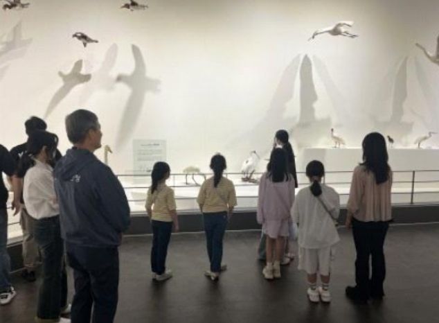 자유대전 멘토링 프로그램